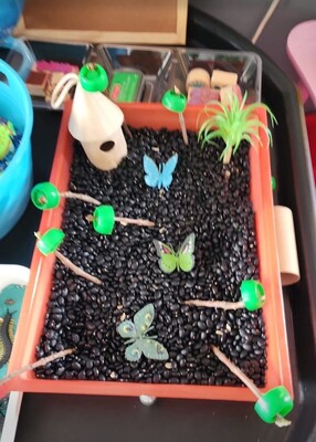 Sabahat S. - Photo 4