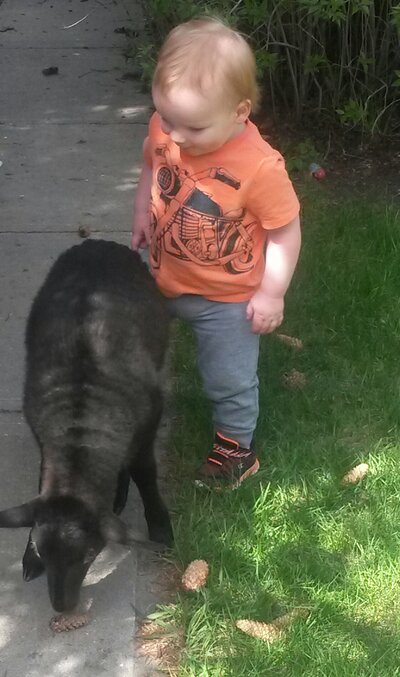 Lamb Visits Day homes - Photo 2