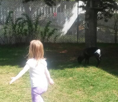 Lamb Visits Day homes - Photo 4