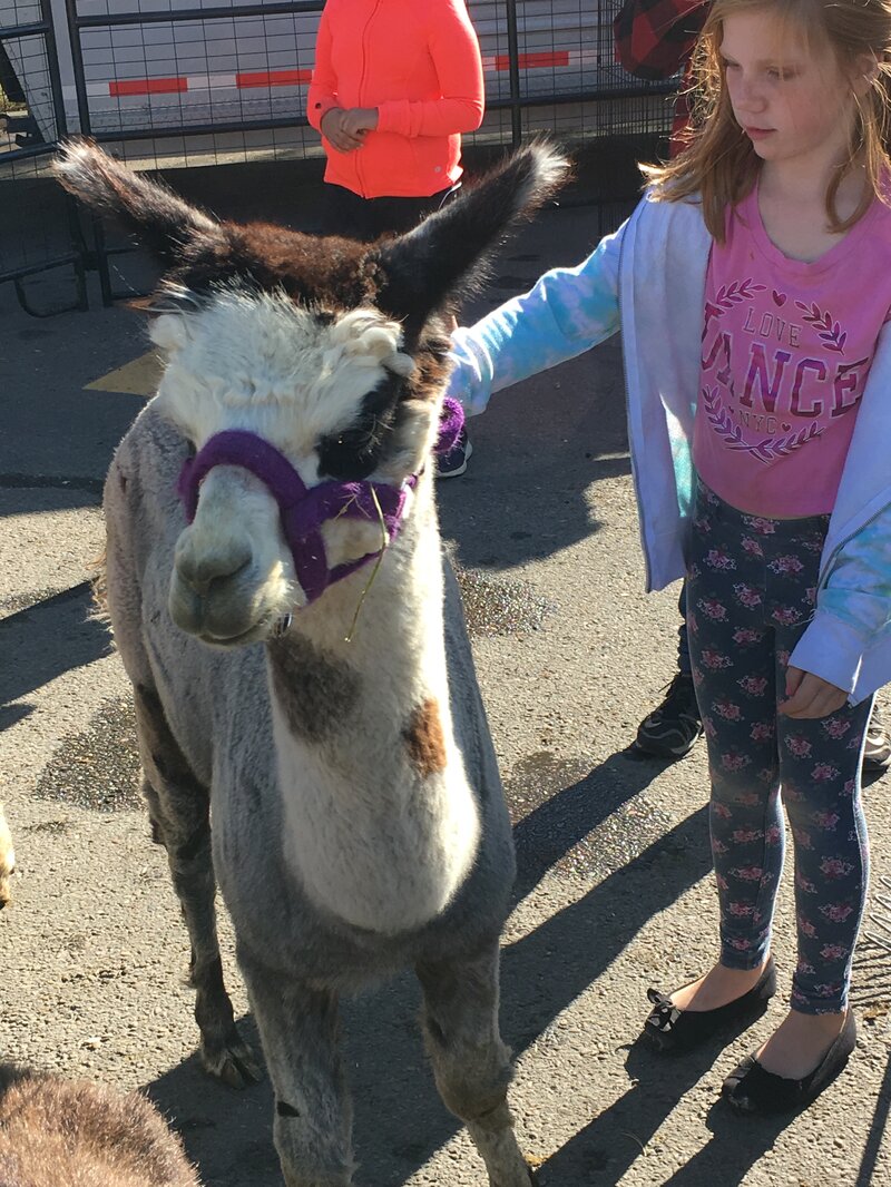 Community League Day - Photo 1