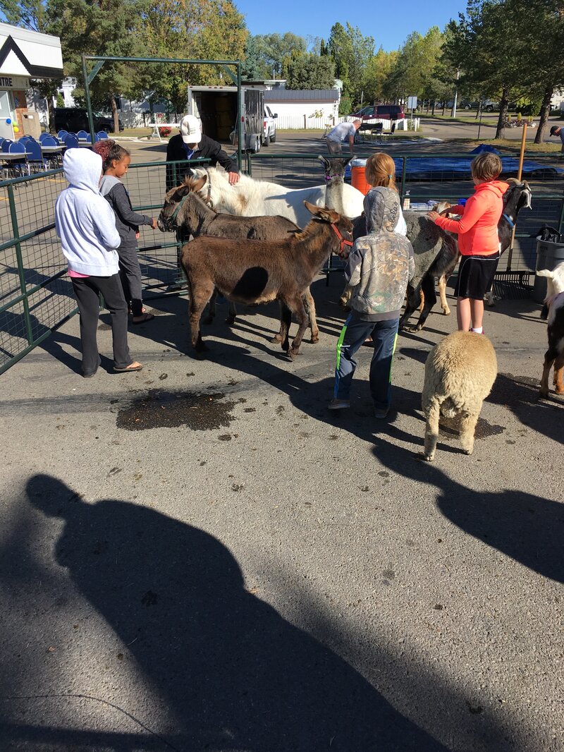 Community League Day - Photo 3