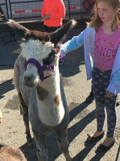 Community League Day - Photo 1