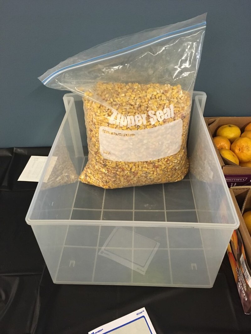 Sensory Play Workshop - Photo 5