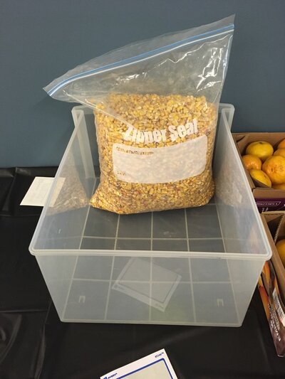 Sensory Play Workshop - Photo 5