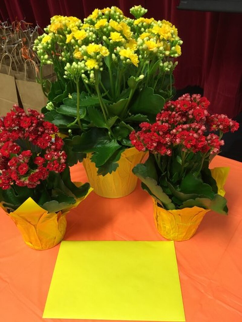 Learning Thru Games Educator Appreciation Brunch - Photo 1