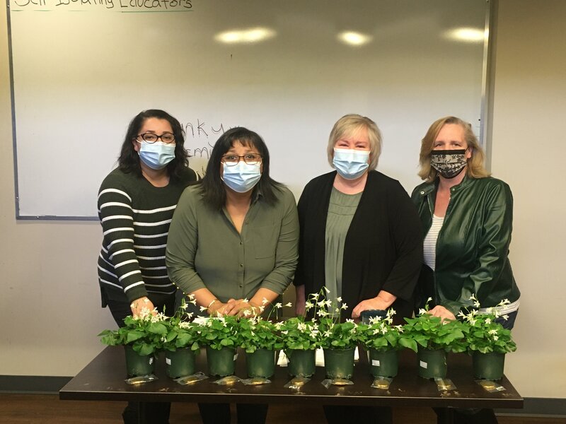 St. Patrick's Day - Photo 1