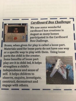 Cardboard Box Challenge