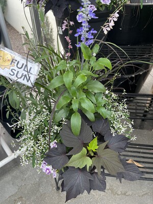 Spring is in the Air - Photo 1